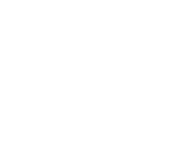 Logo - Checker Flag